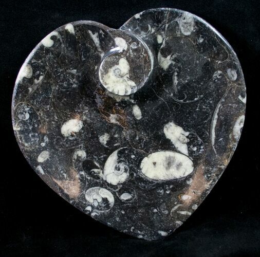 Heart Shaped Fossil Goniatite Dish #10645